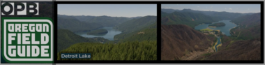 OBP's Dramatic aerial view of the Willamette National Forest as it looked before and after the 2020 Labor Day fires