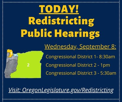 redistricting hearing schedule