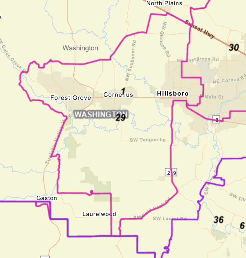 Proposed House District 29