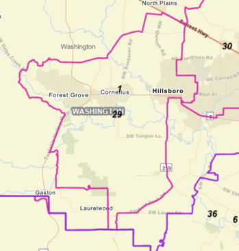 New House District 29 map