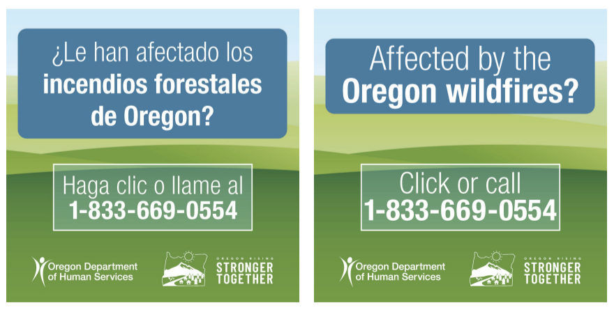 Wildfire Recovery Assistance 