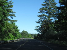 picture of highway 6