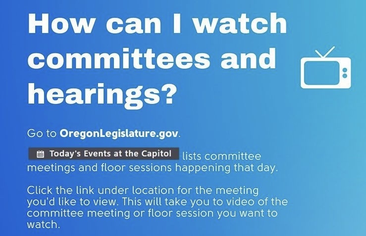 Watch the hearings 