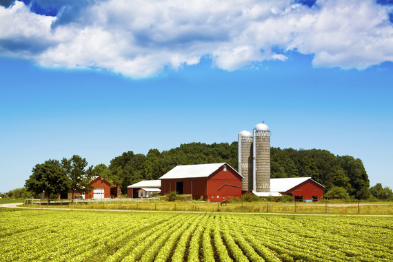 Agriculture