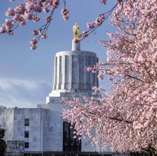 Oregon Capitol 