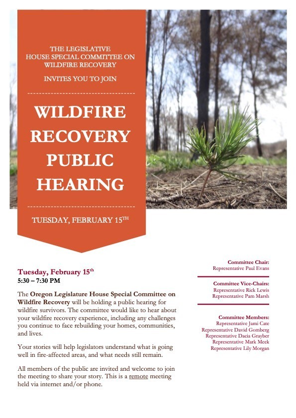 Wildfire Recovery Hearing Flyer - English