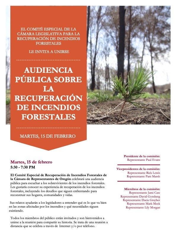 Wildfire Recovery Hearing Flyer - Spanish