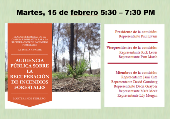 Wildfire Recovery Public Hearing - Spanish Graphics