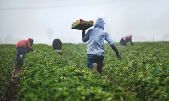 Farm workers