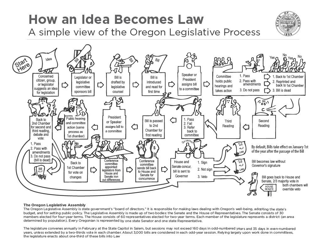How an idea becomes law