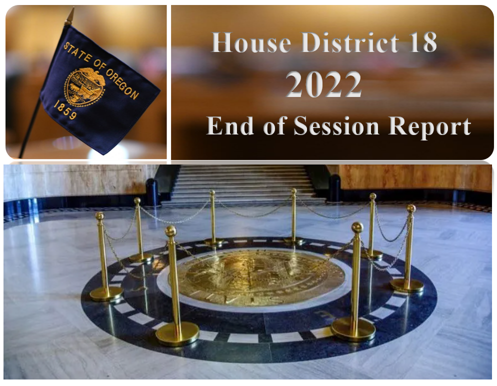 House District 18 2022 End of Session Report Image.png