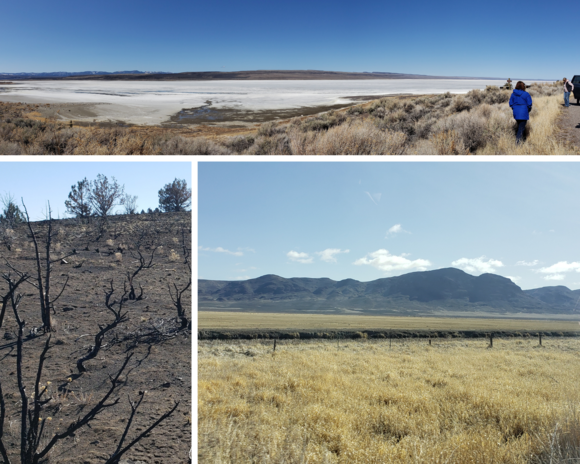 pictures from the lake abert tour