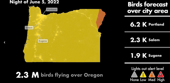 Oregon bird forecast
