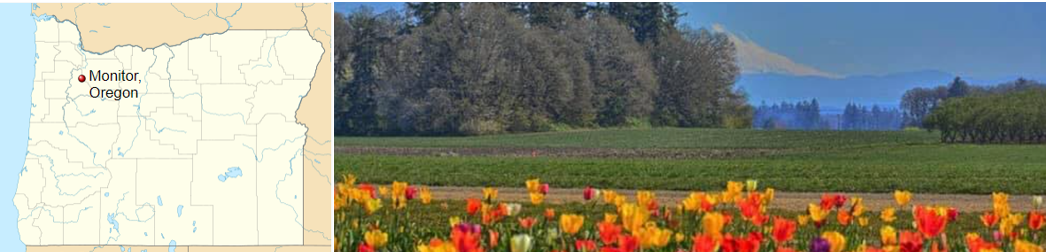 Monitor map and tulip field photo.png