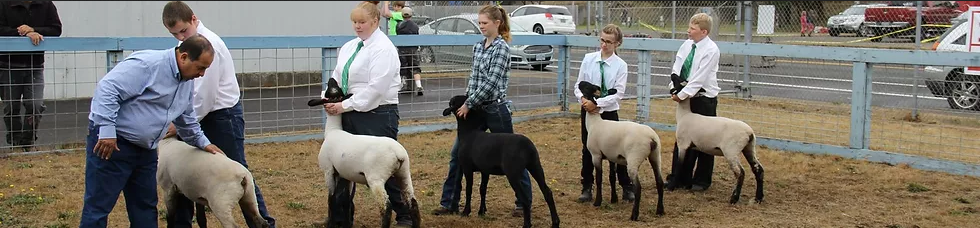 4-H event at fairgrounds