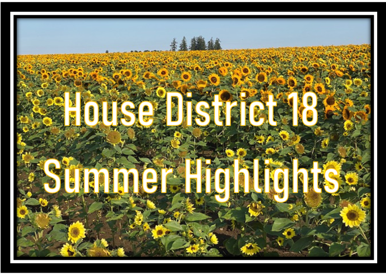 House District 18 Summer Highlights image in sunflower field
