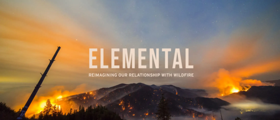 Elemental