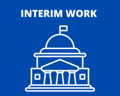 Interim Work logo