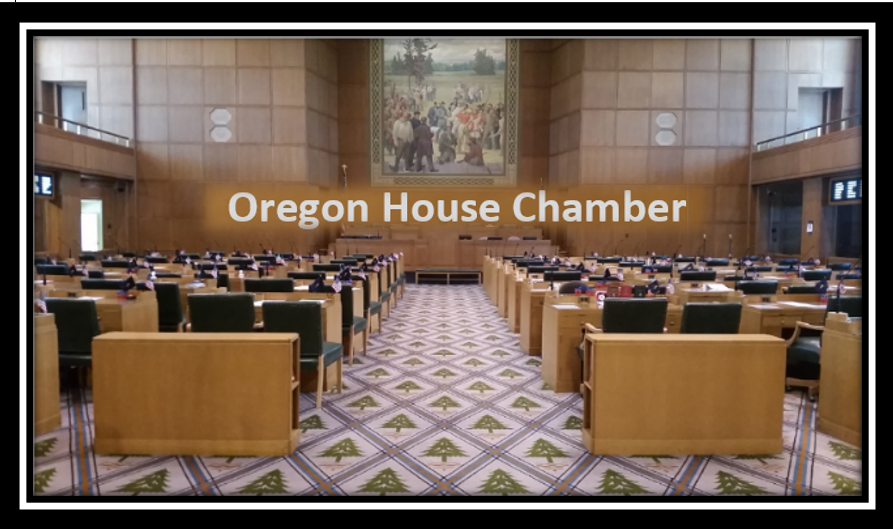 House Chamber Image