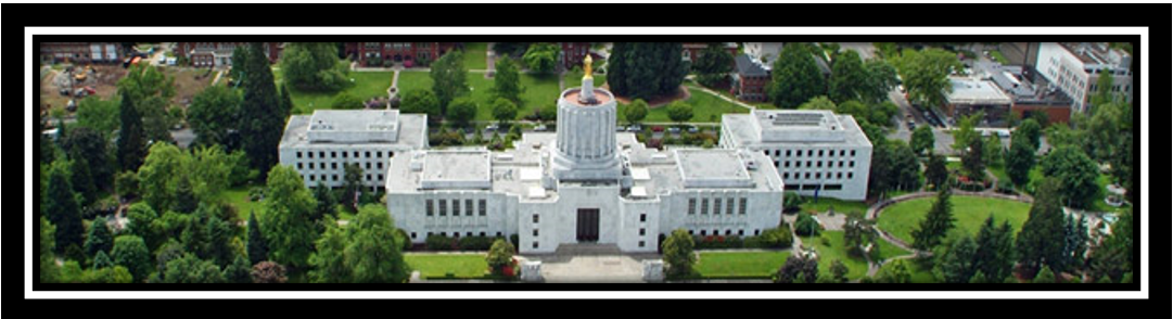 Capitol Ariel Image