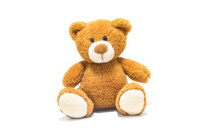 Teddy Bear image 