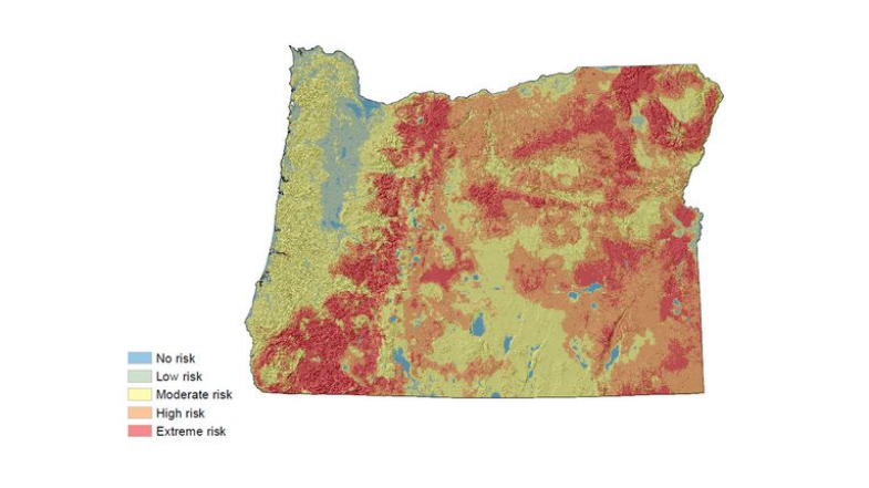 Wildfire Risk Map