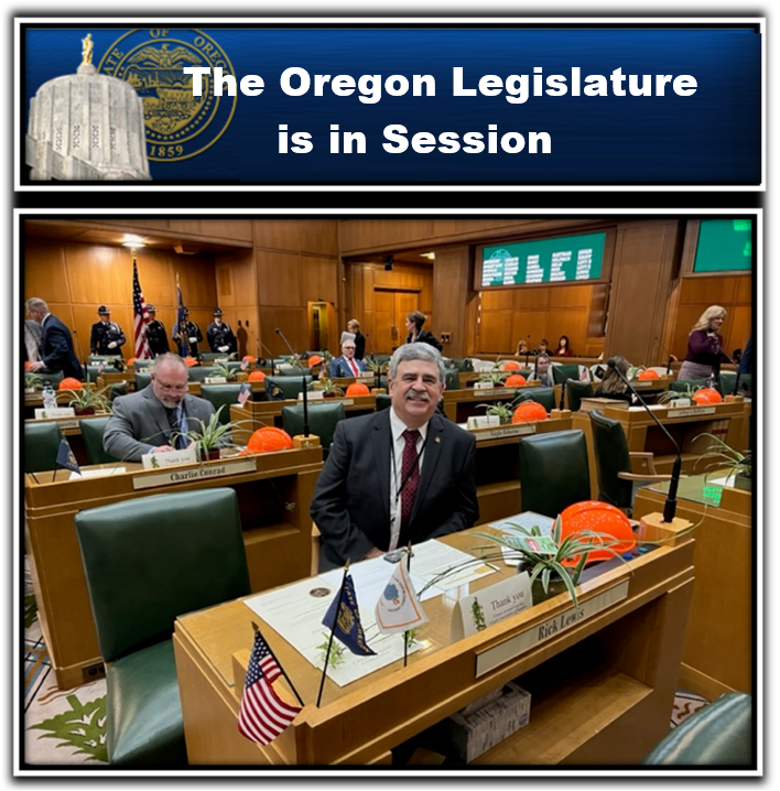 The Legislature is in Session - Floor Desk Photo