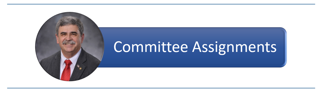 why are committee assignments so important to legislators