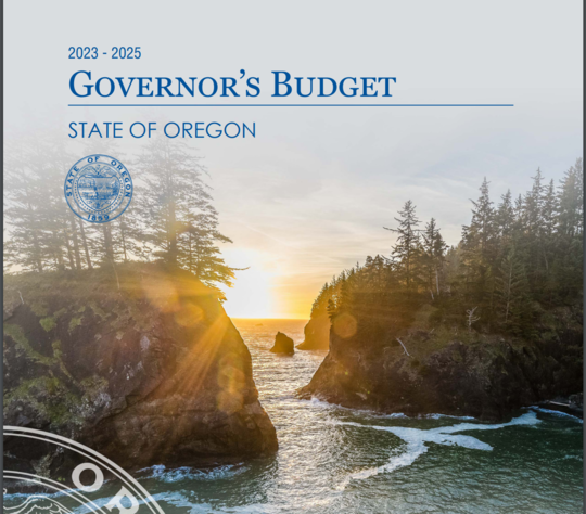 gov budget