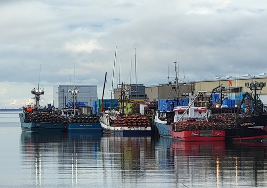 Astoria Crab Fleet