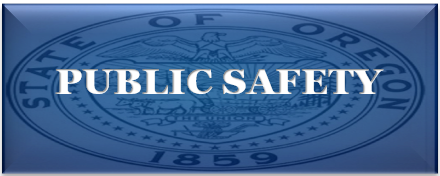 Public Safety graphics