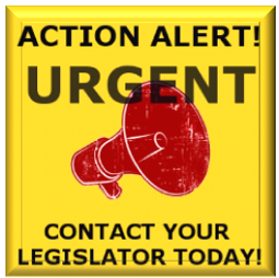 Action Alert Graphics