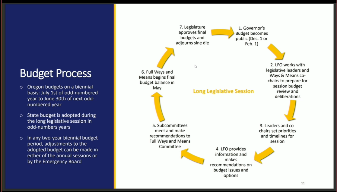 Budget Process graphics.png