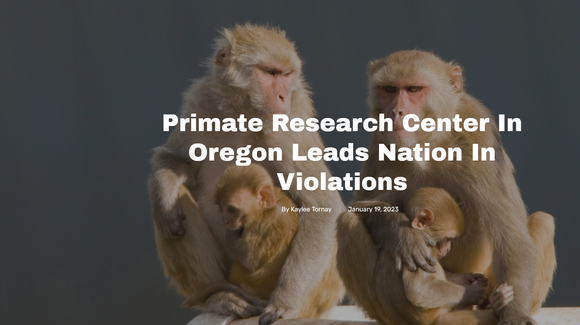 Primate research center leads nation in violations