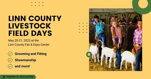 Linn Co Livestock Auction