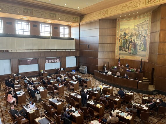 Photo of the Senate floor