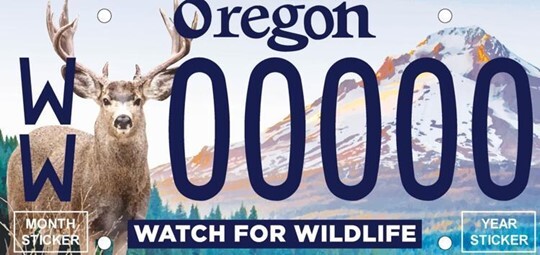 Watch for Wildlife license plate