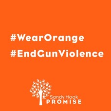 Gun violence awareness day