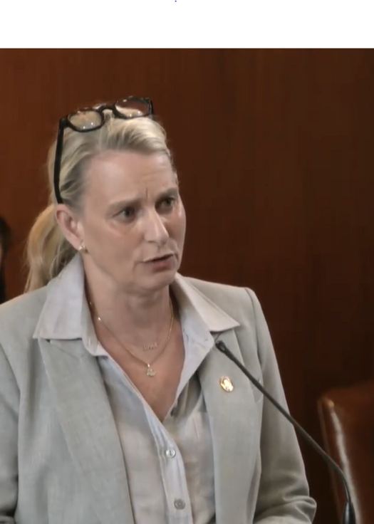 Senator Lieber standing at her desk, offering a courtesy 