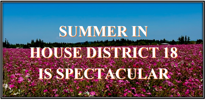 Summer In House District 18 is Spectacular