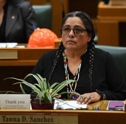 representative sanchez sitting at her desk on the house floor