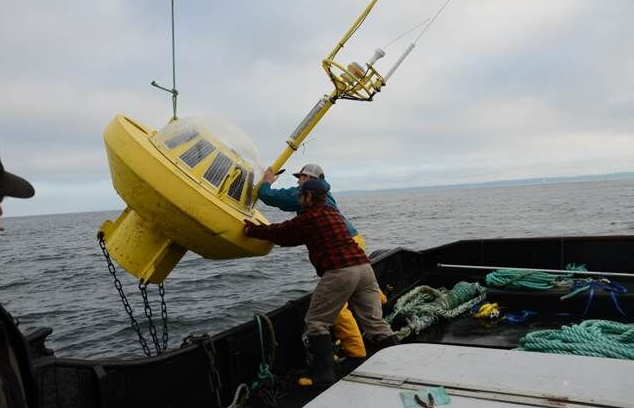 Researchers installing a wave height measurement buoy