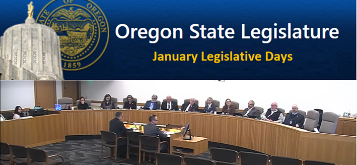 January Legislative Days