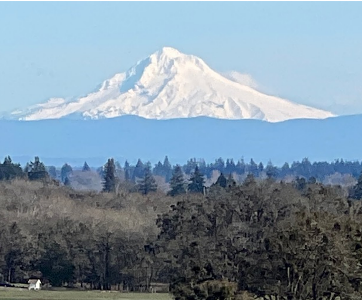 Mt. Hood photo