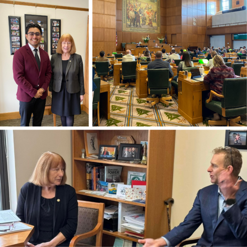 Collage of my week at the capitol