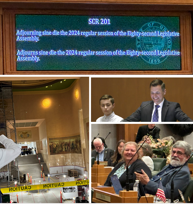 sine die collage