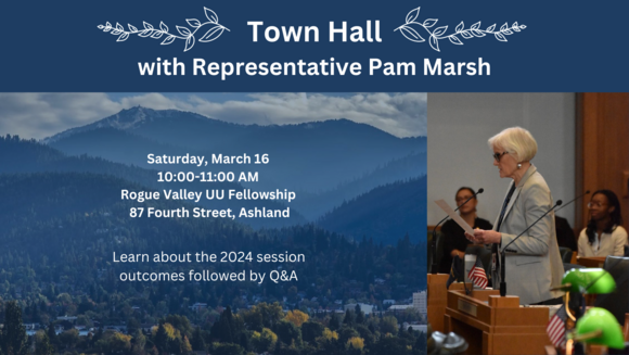 Rep Marsh Town Hall graphic_03-16-24