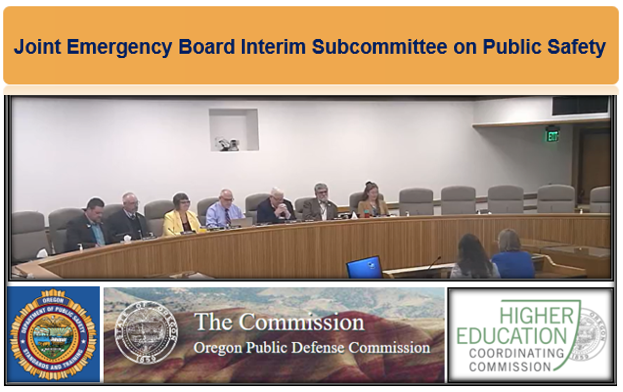 Joint Emergency Board Interim Subcommittee on Public Safety