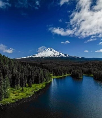 Mt Hood