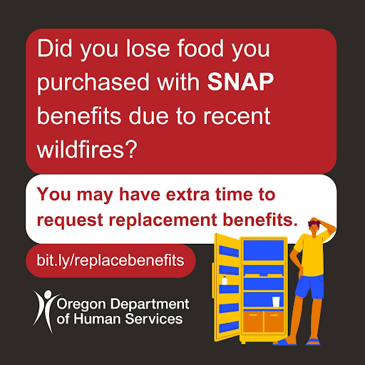 SNAP Benefits 
